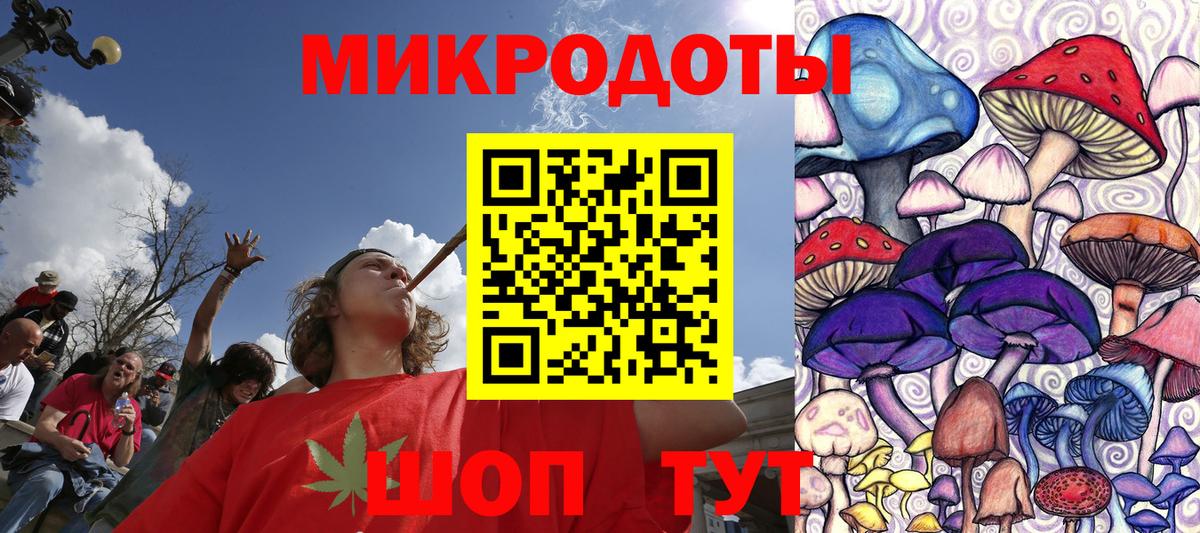 Псилоцибиновые грибы прущие грибы Сегежа