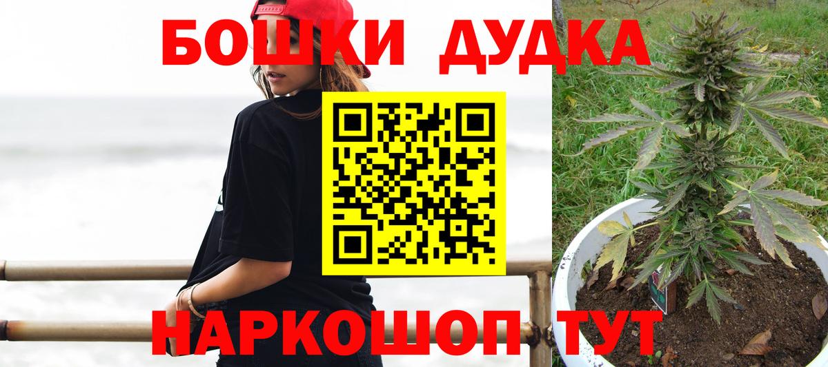 Конопля план  Бошки марихуана LSD WEED  Сегежа  Бошки Шишки AK-47  Вход с VPN  Марихуана ГИДРОПОН 